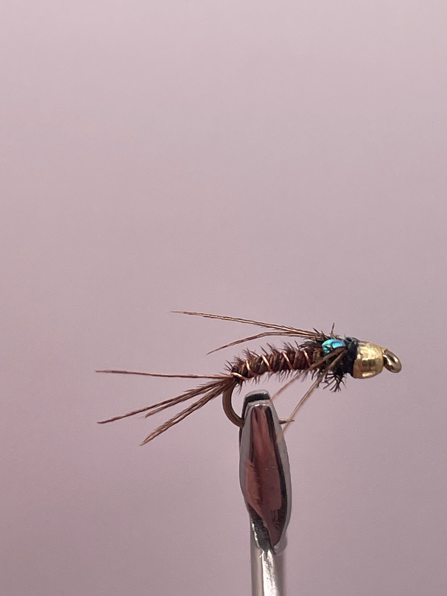 Flashback Pheasant tail nymph