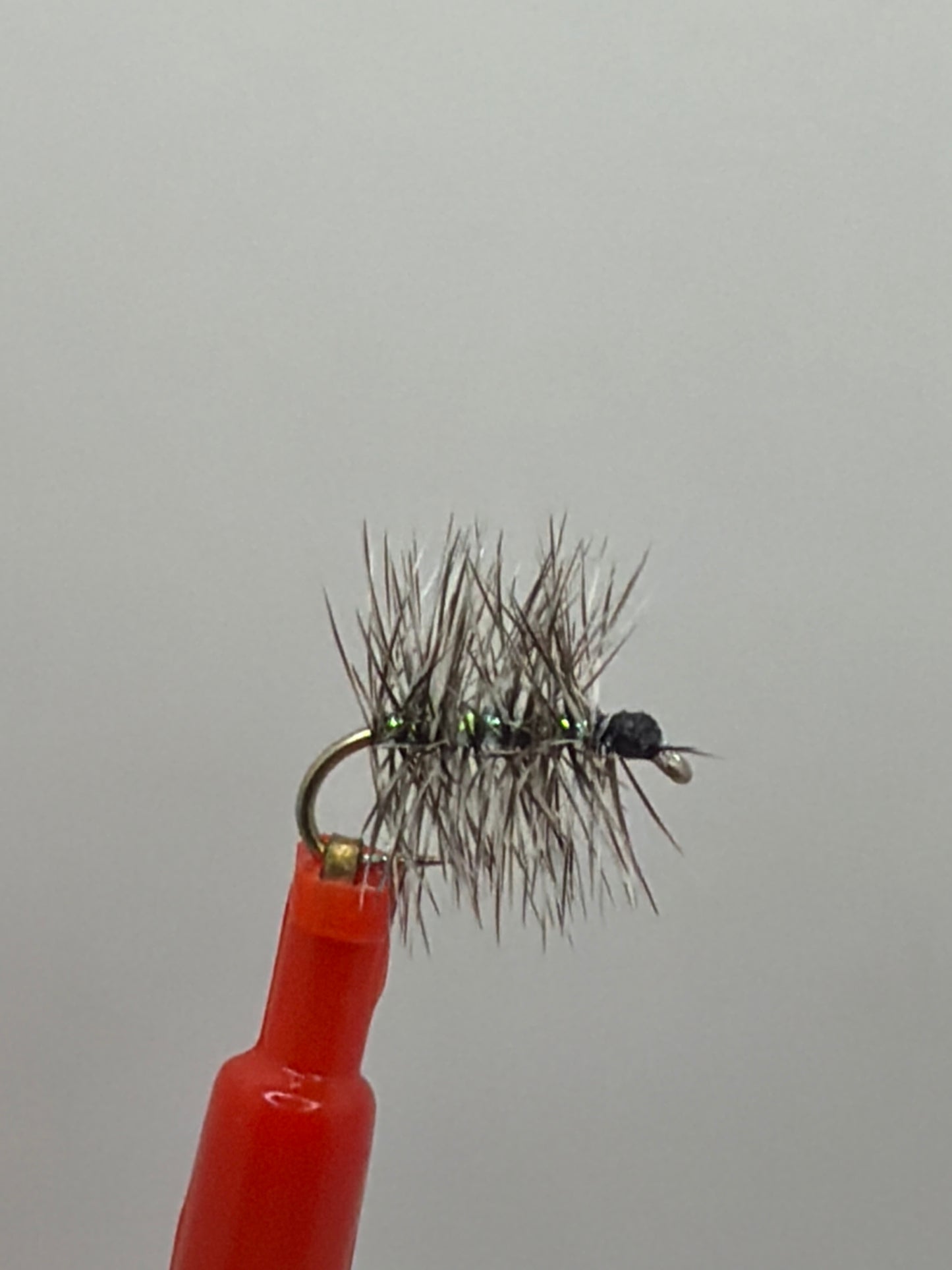 Midge Cluster