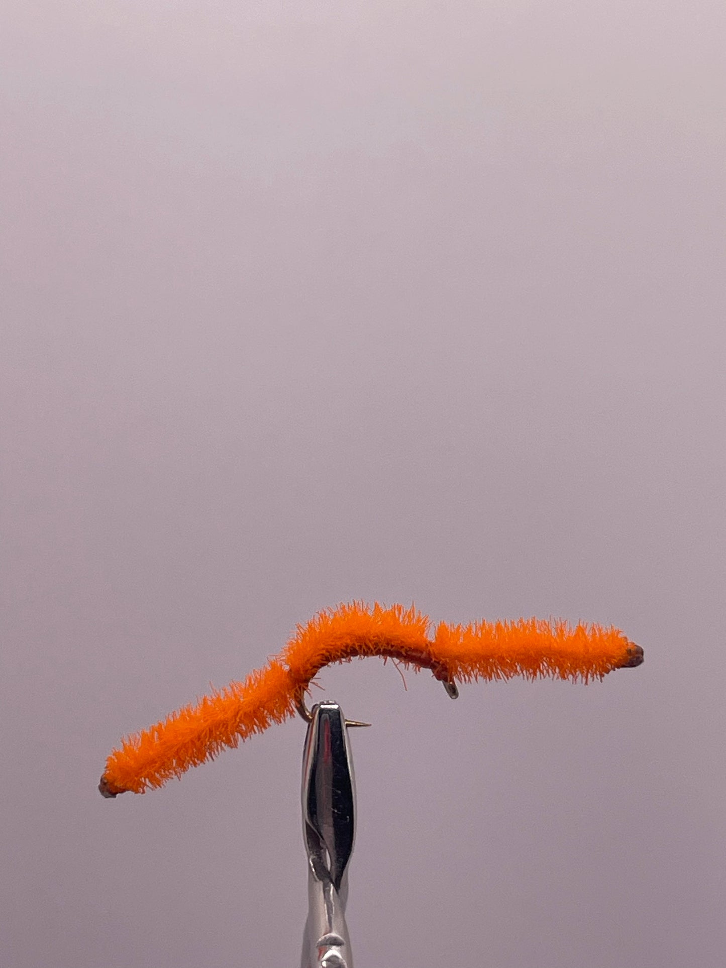 Vernille San Juan Worm