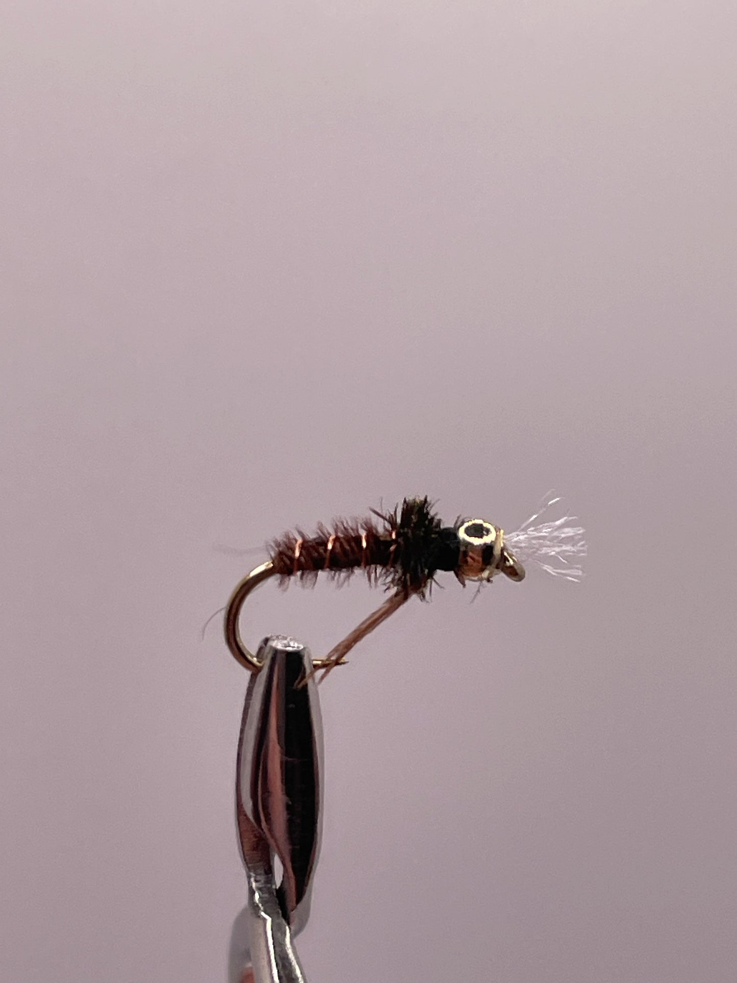 Chrinomid Pheasant Tail