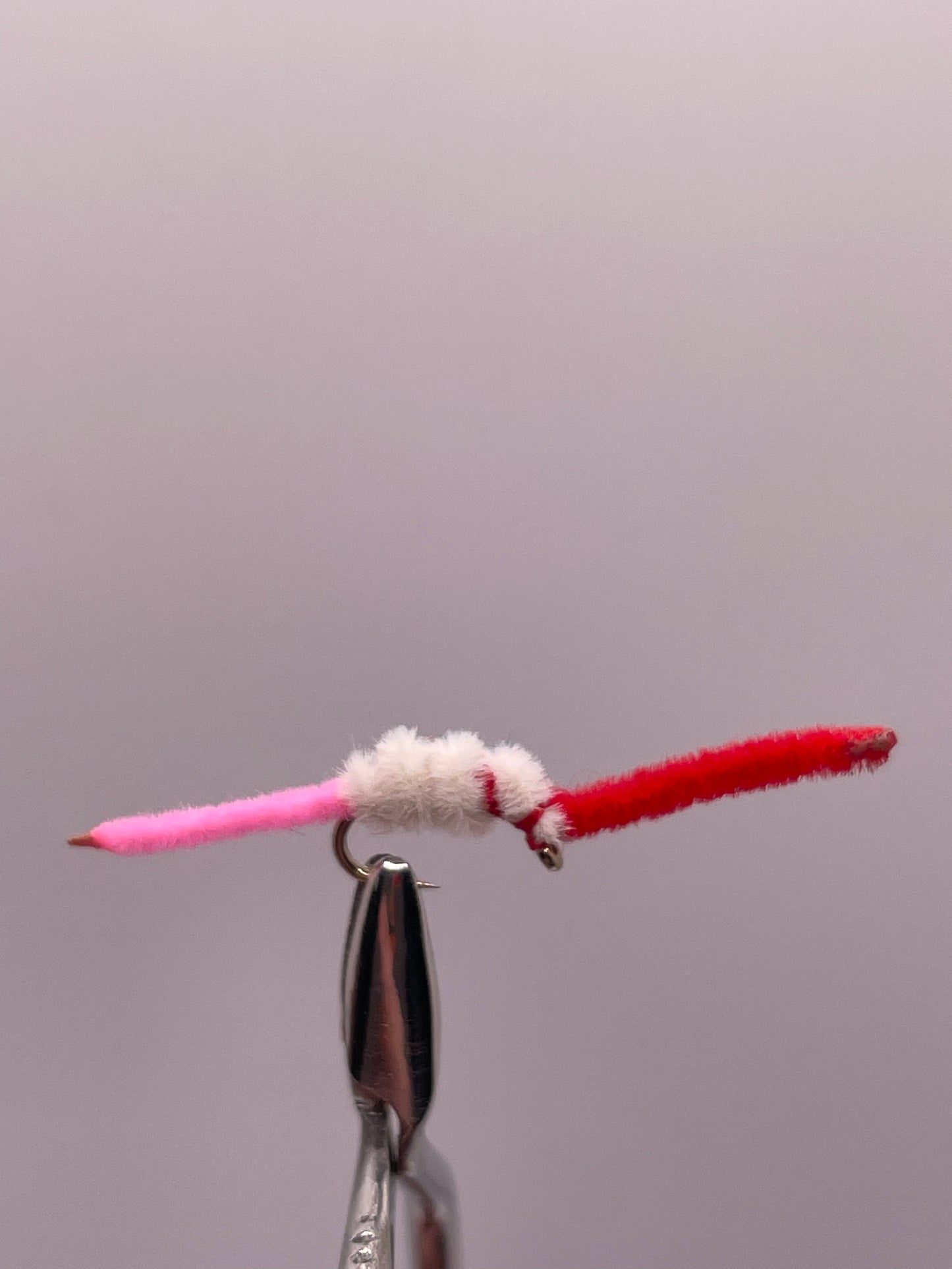 Multicolored San Juan Worm