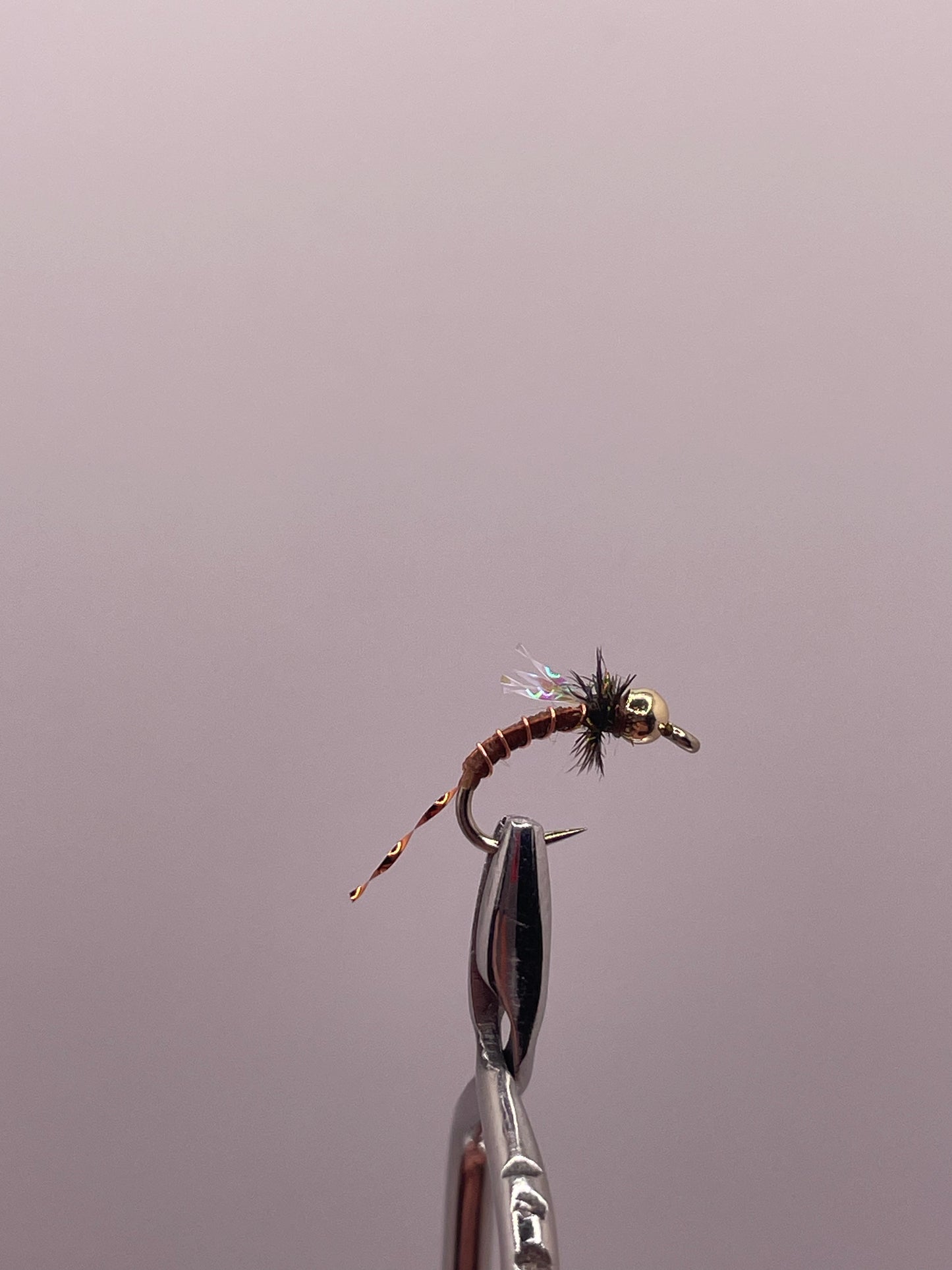 Copper Zebra Midge