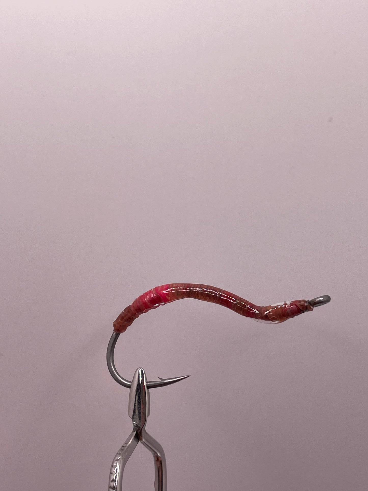 Realistic Earth Worm