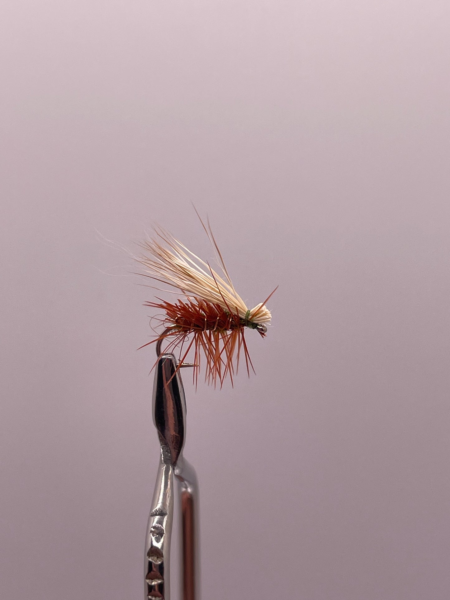 Elk Hair Caddis