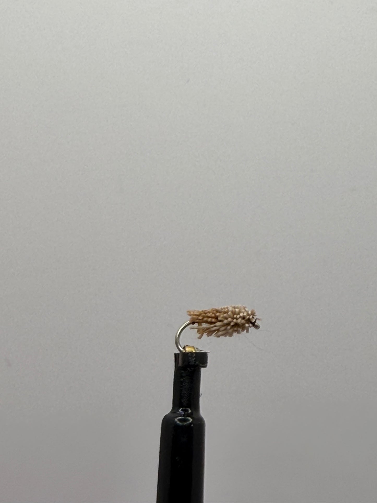 Dog food fly