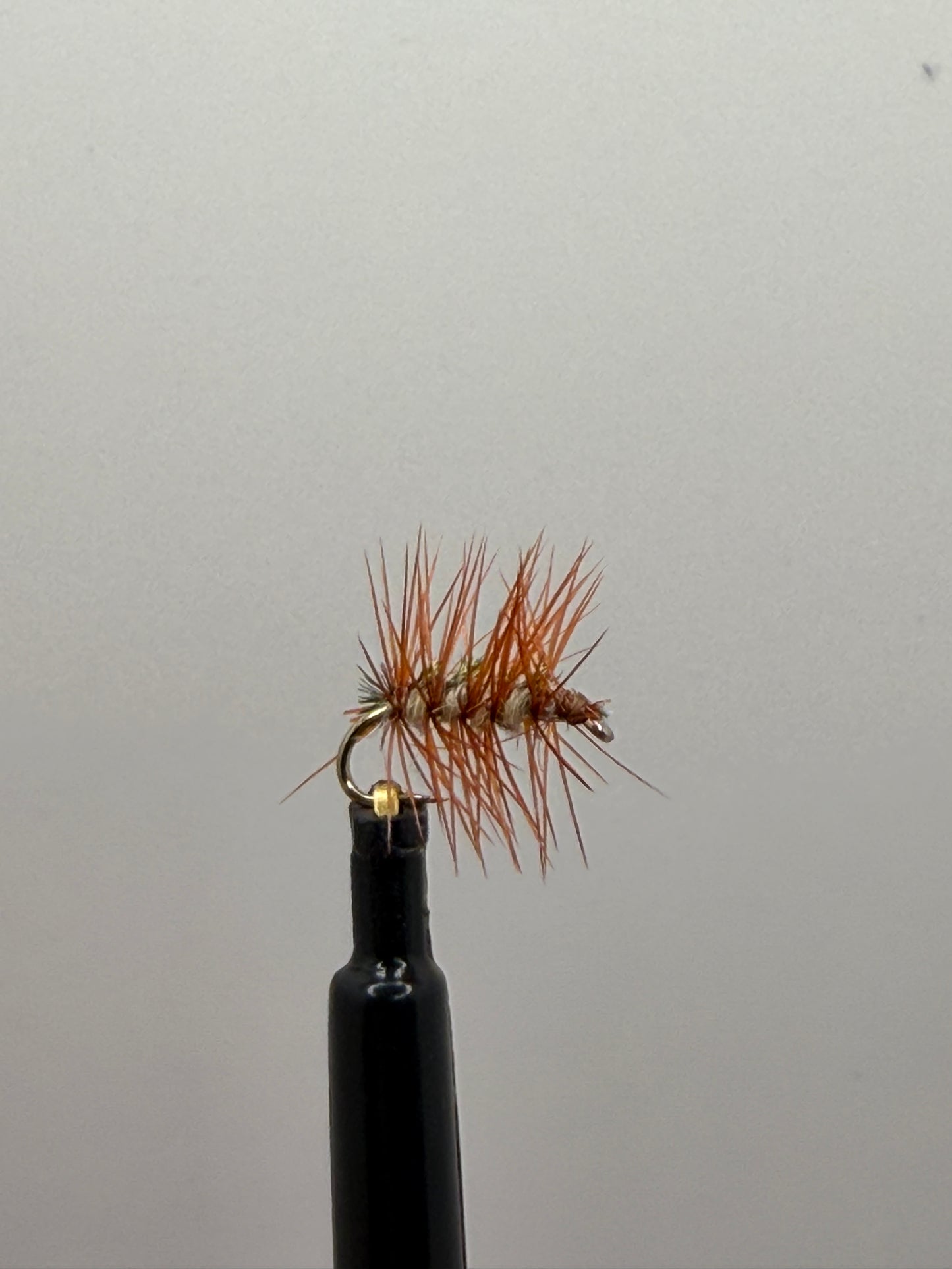 Crackleback