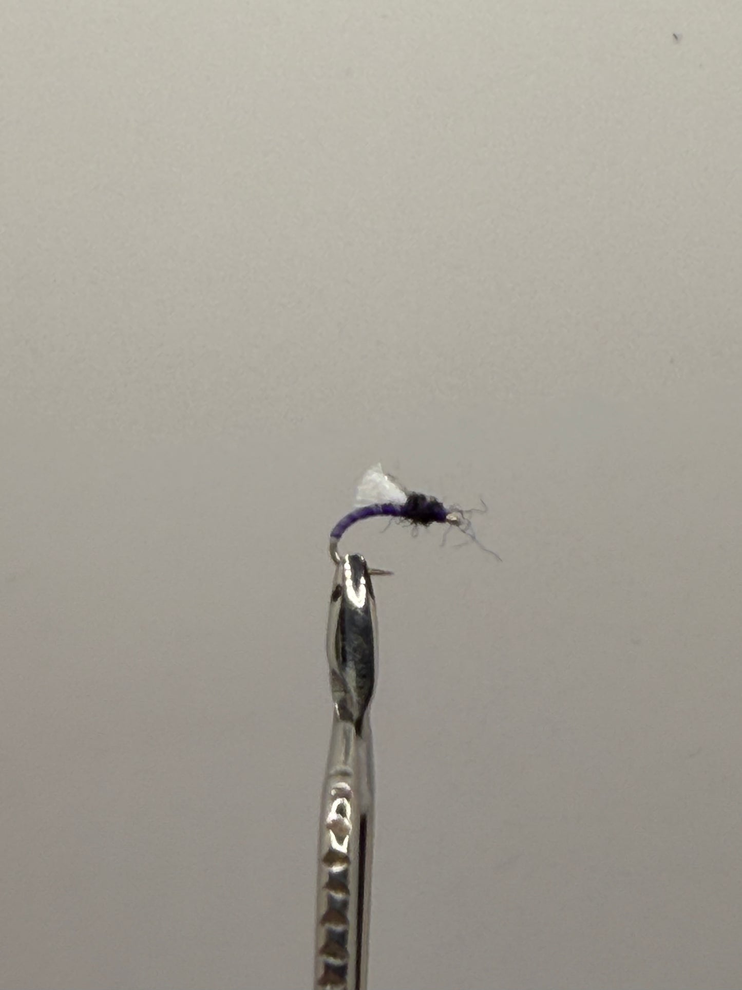 Top Secret Midge