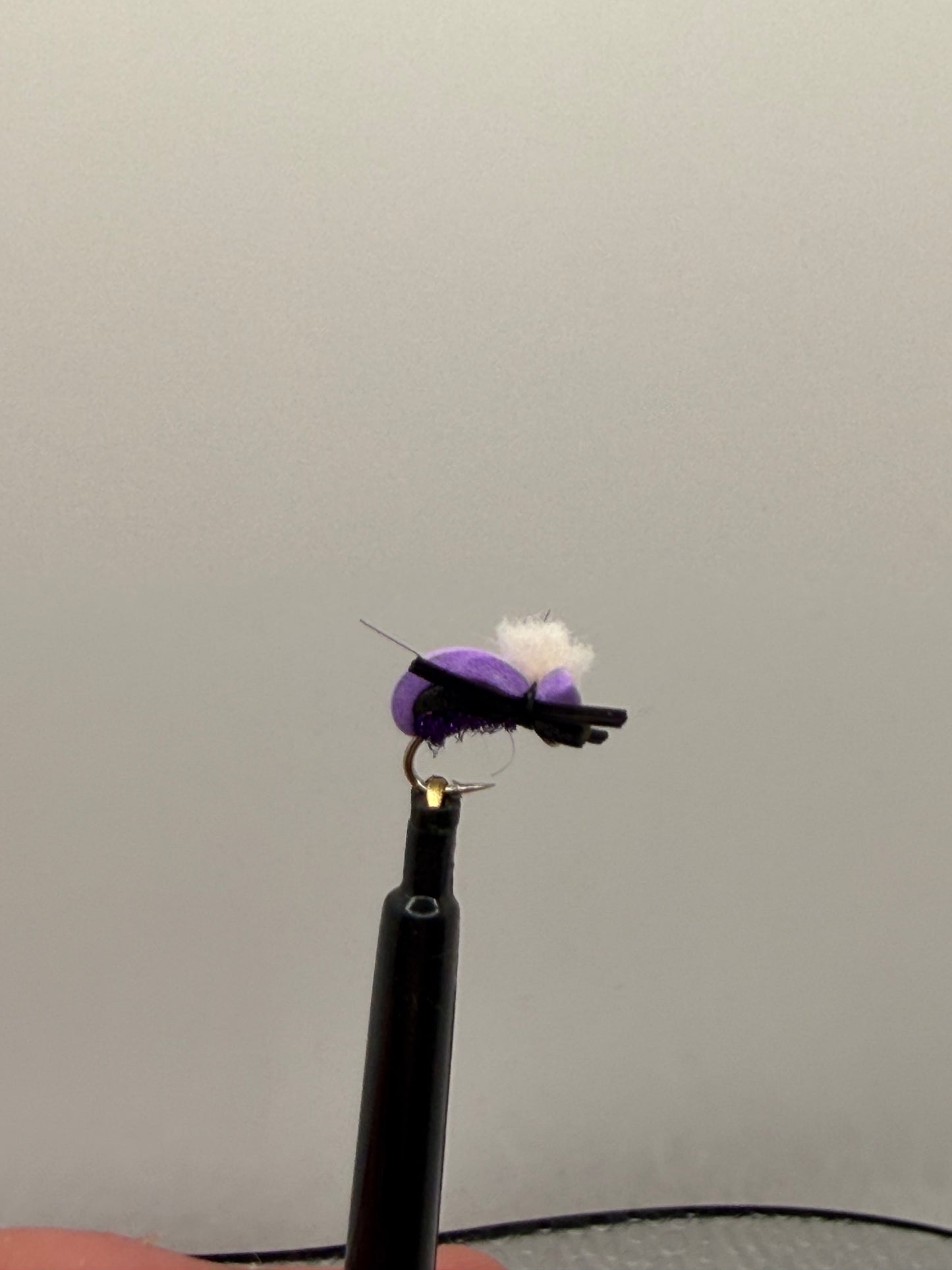 Puffy foam beetle