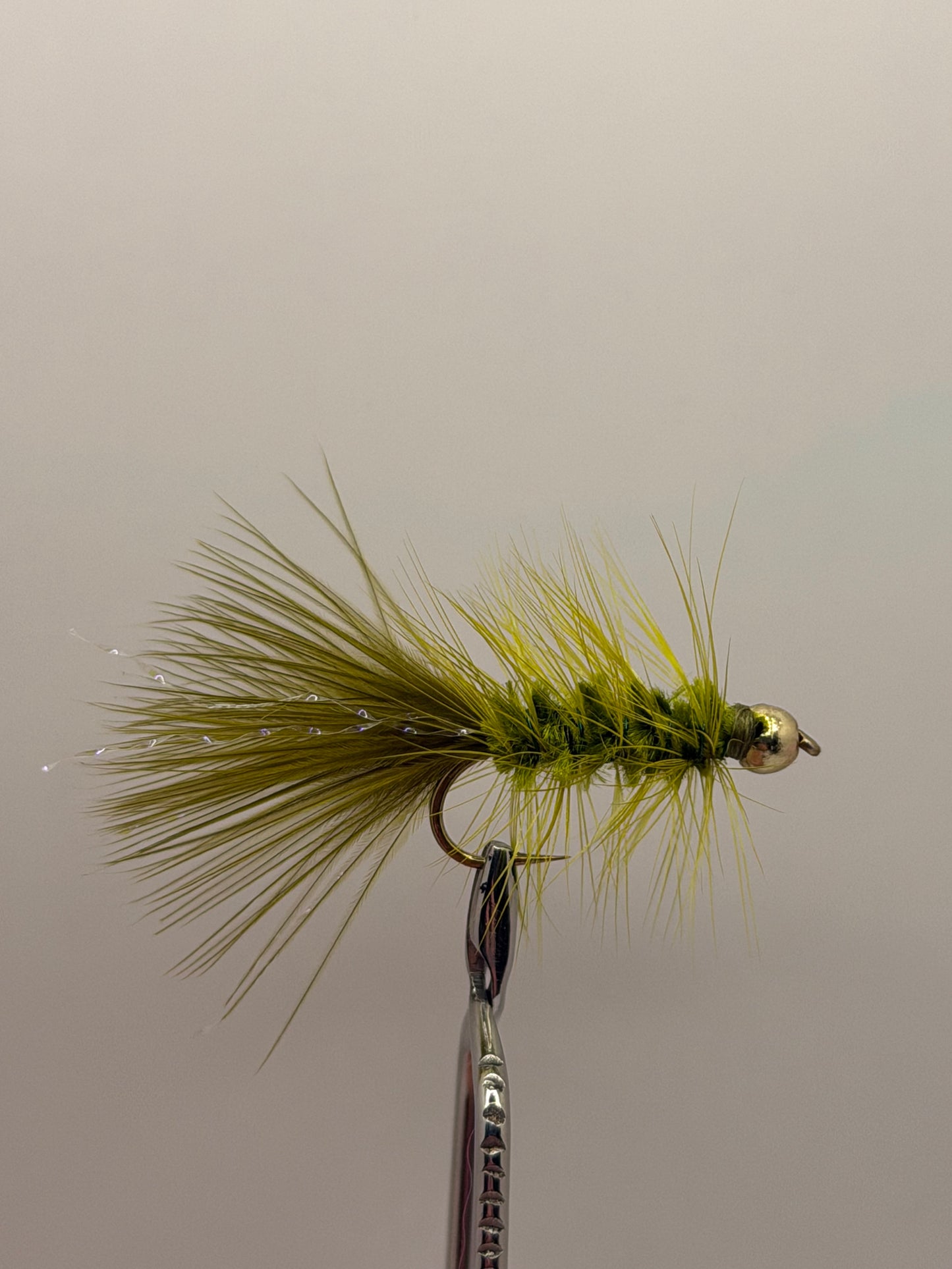 Woolly Bugger