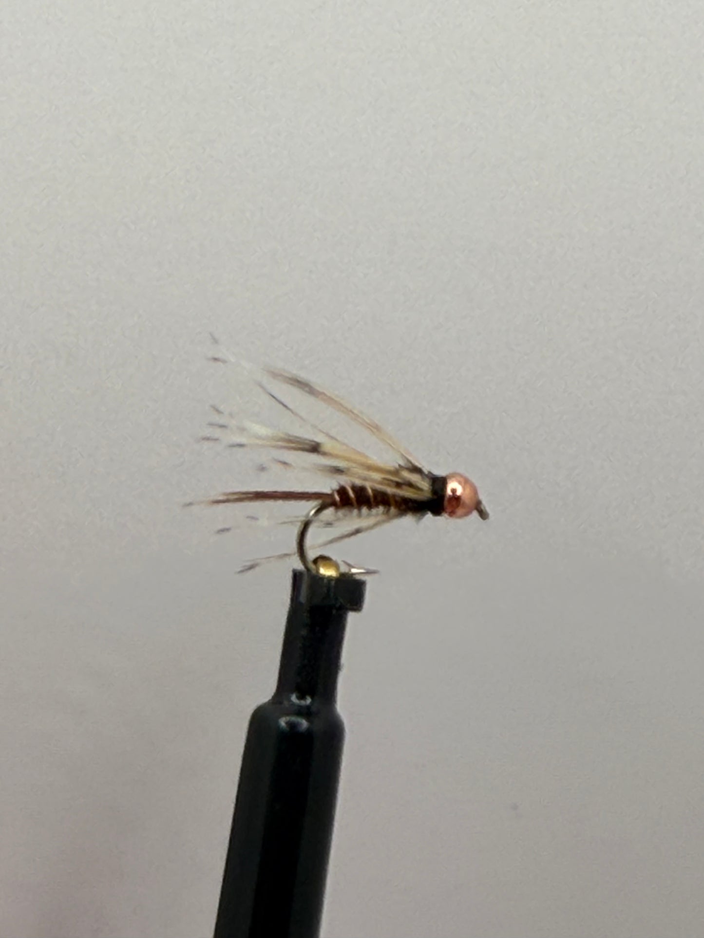 Soft Hackle Pheasant tail