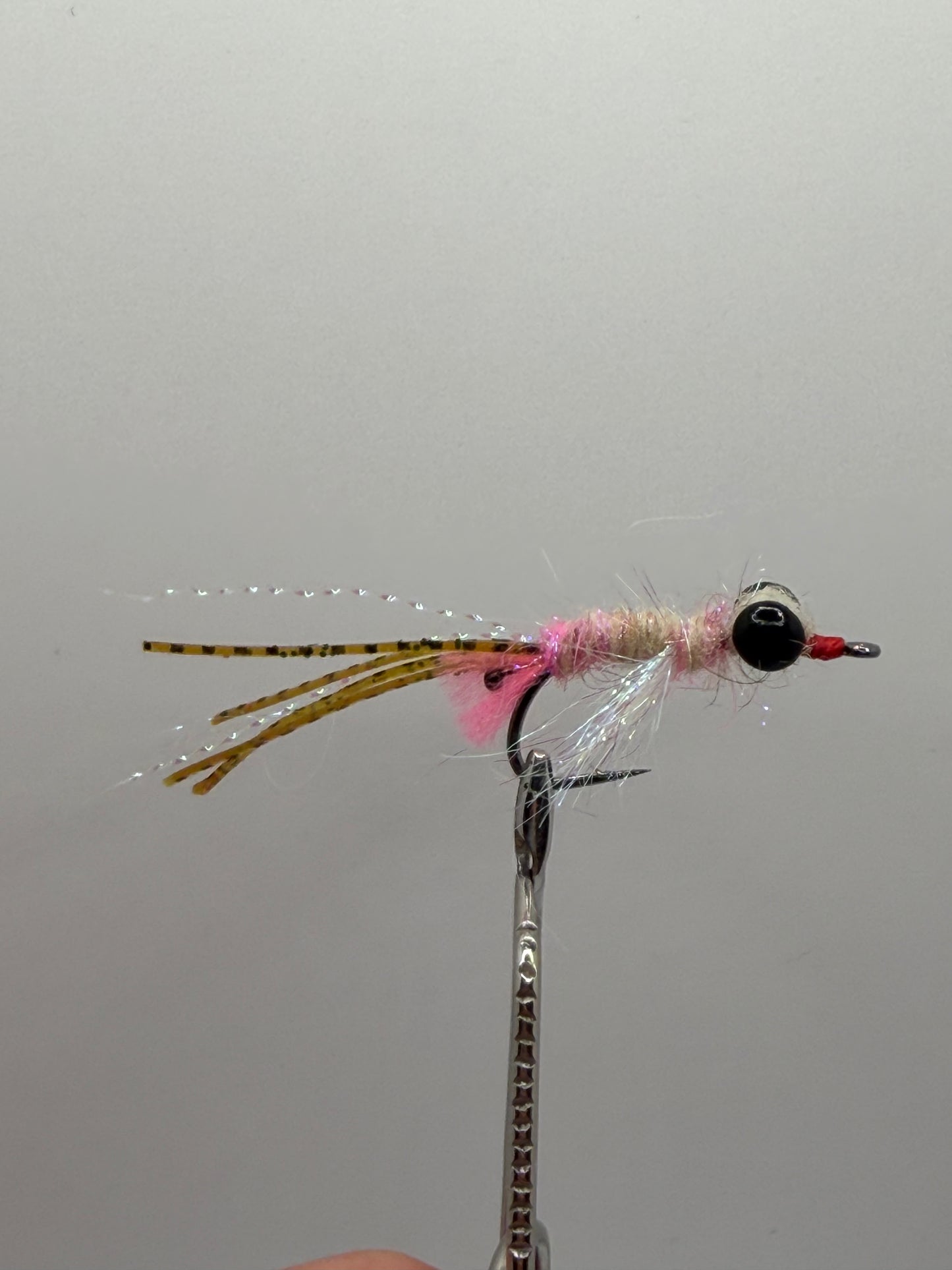 Shrimp Fly