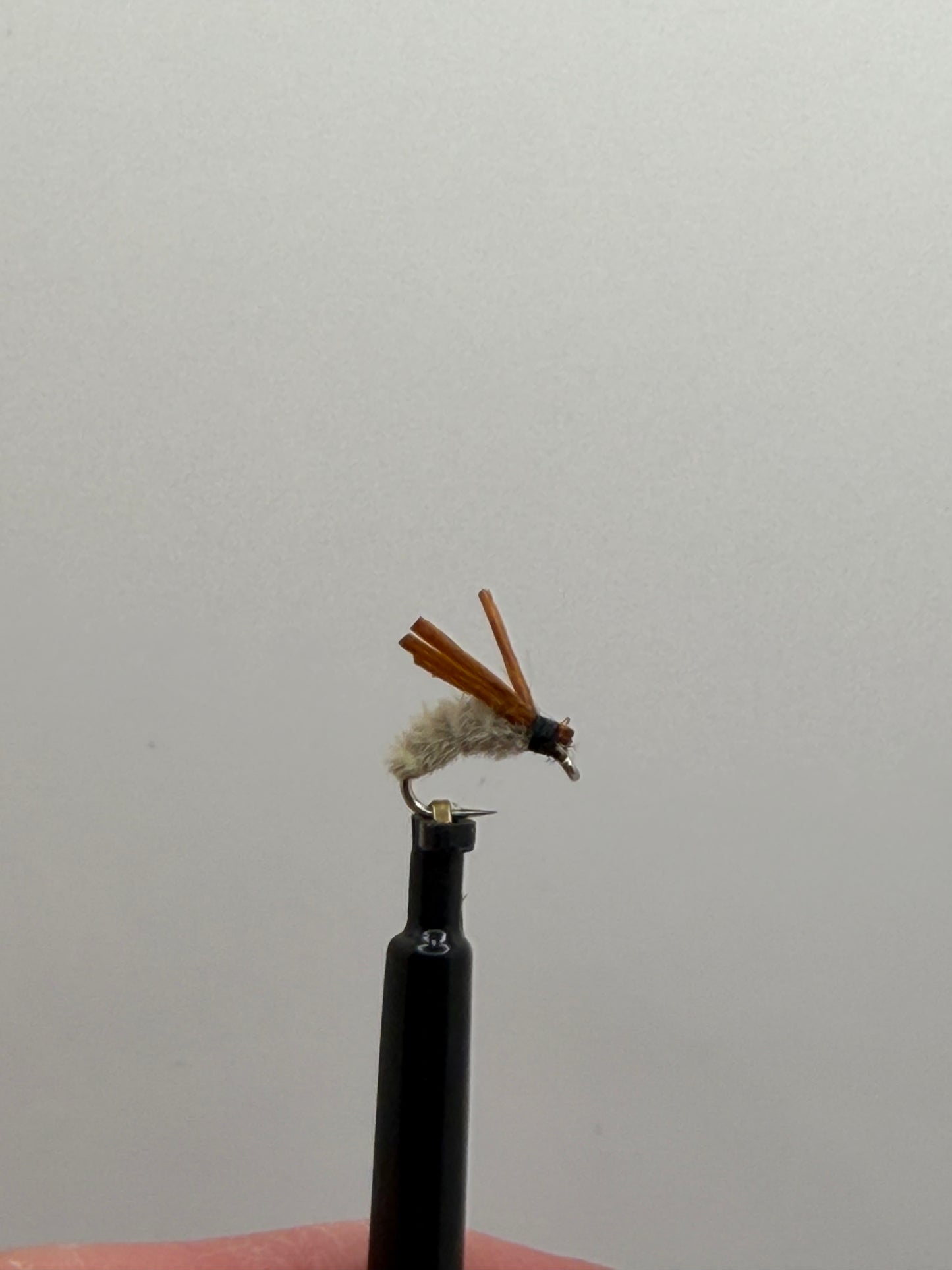 Bluegill Spider