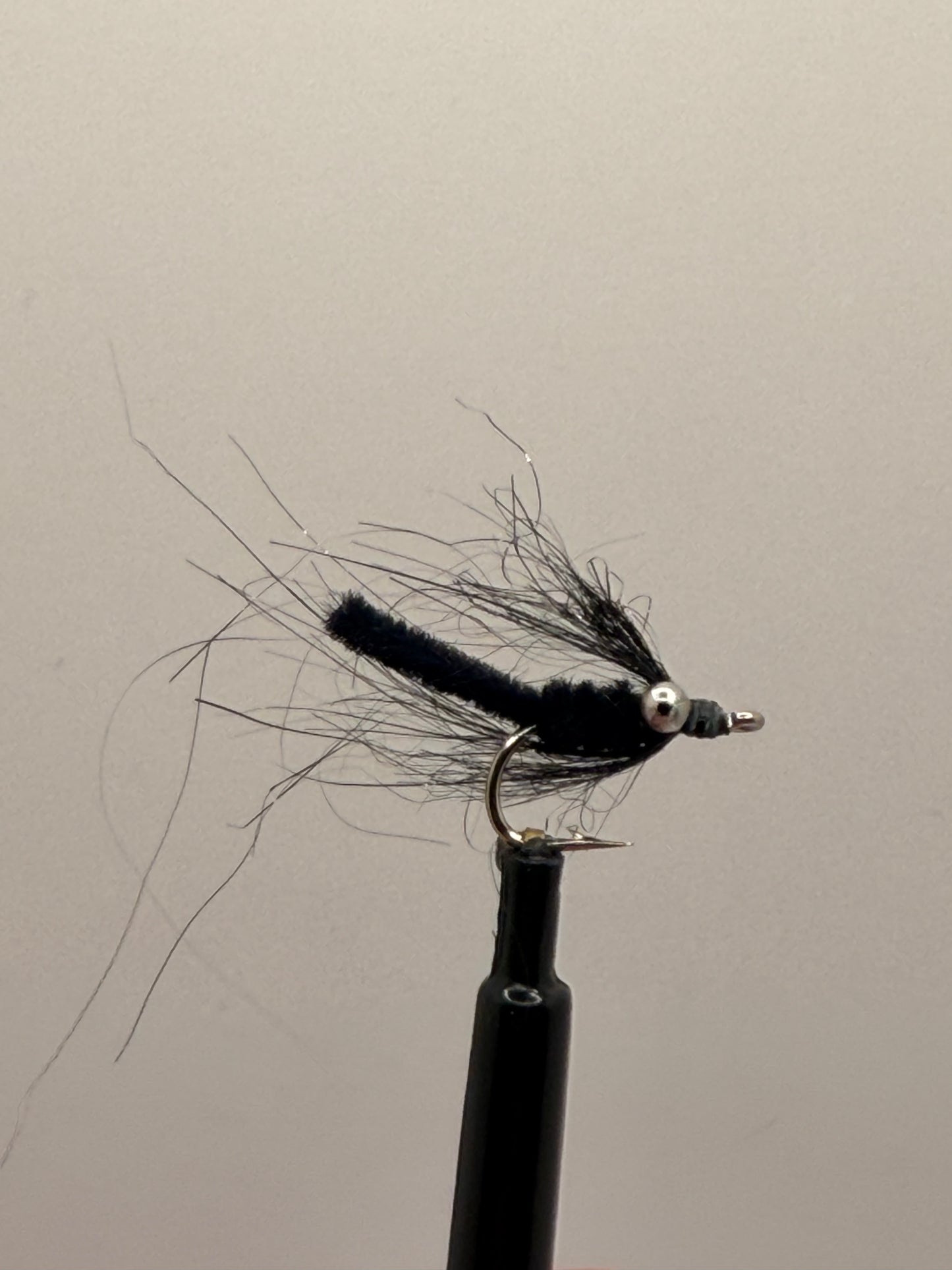 Carp Candy