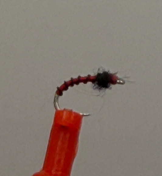 Red Beauty Midge