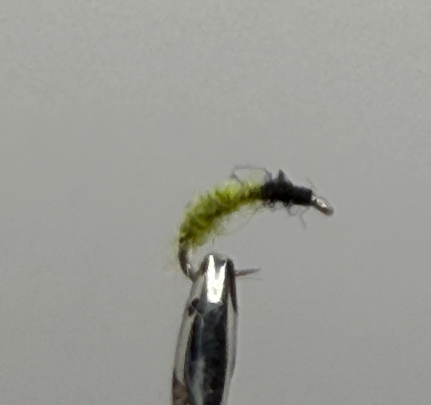Micro Caddis Pupa