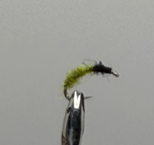 Micro Caddis Pupa