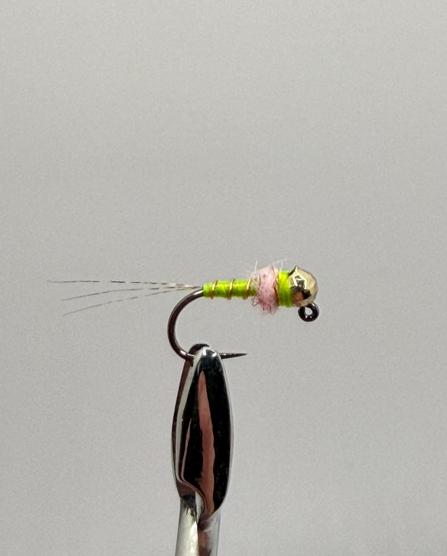 Egan’s Thread Frenchie
