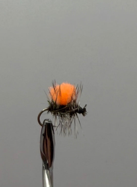 Hotspot Griffith’s Gnat