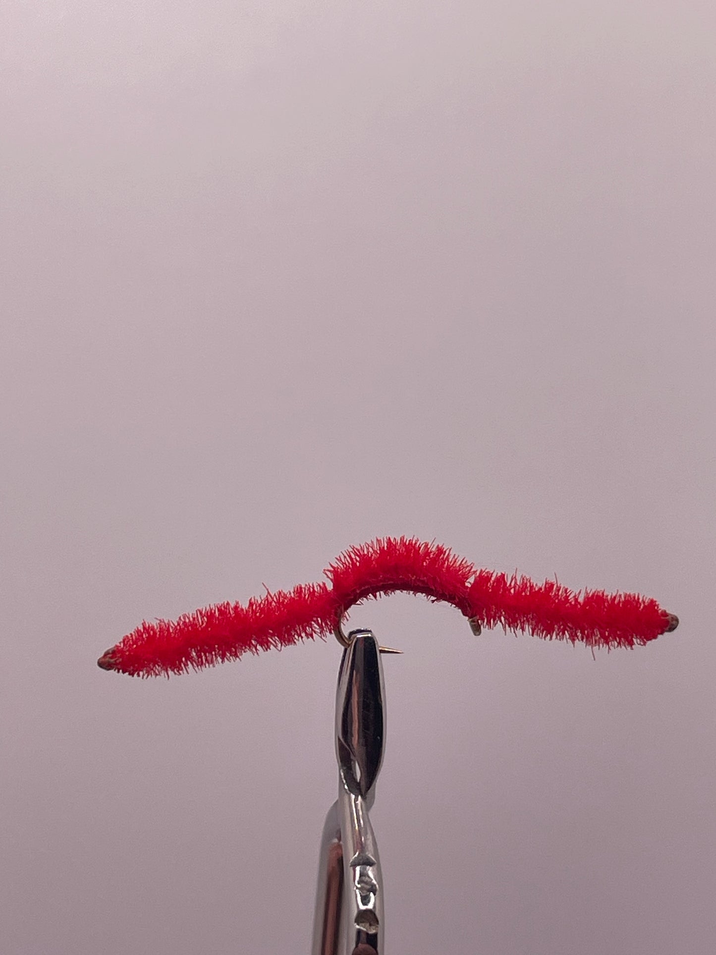 Vernille San Juan Worm