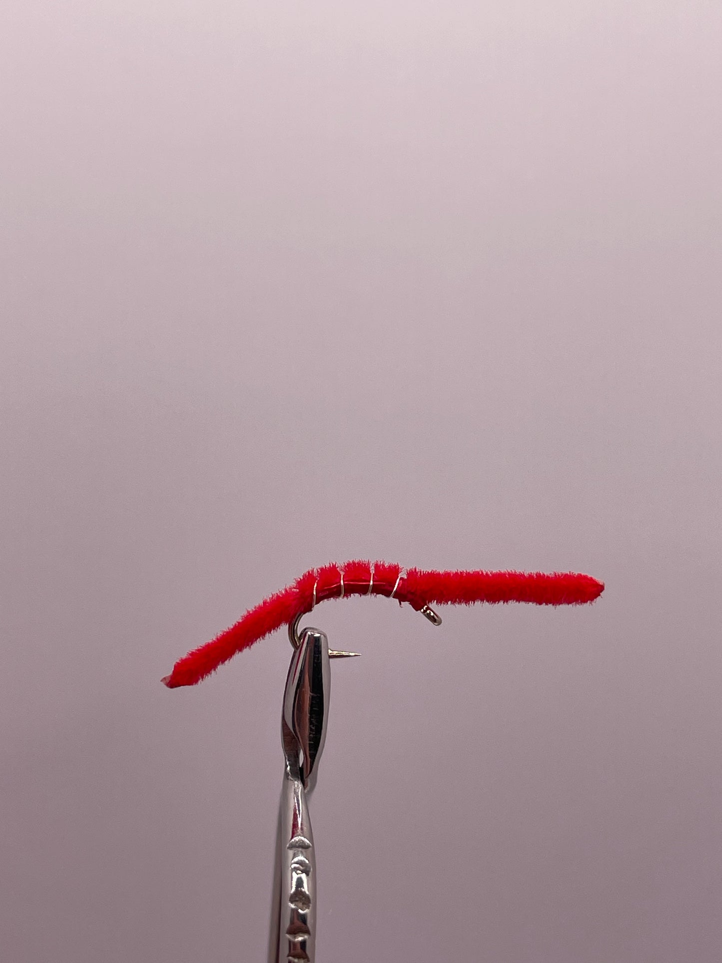 Ribbed San Juan Worm