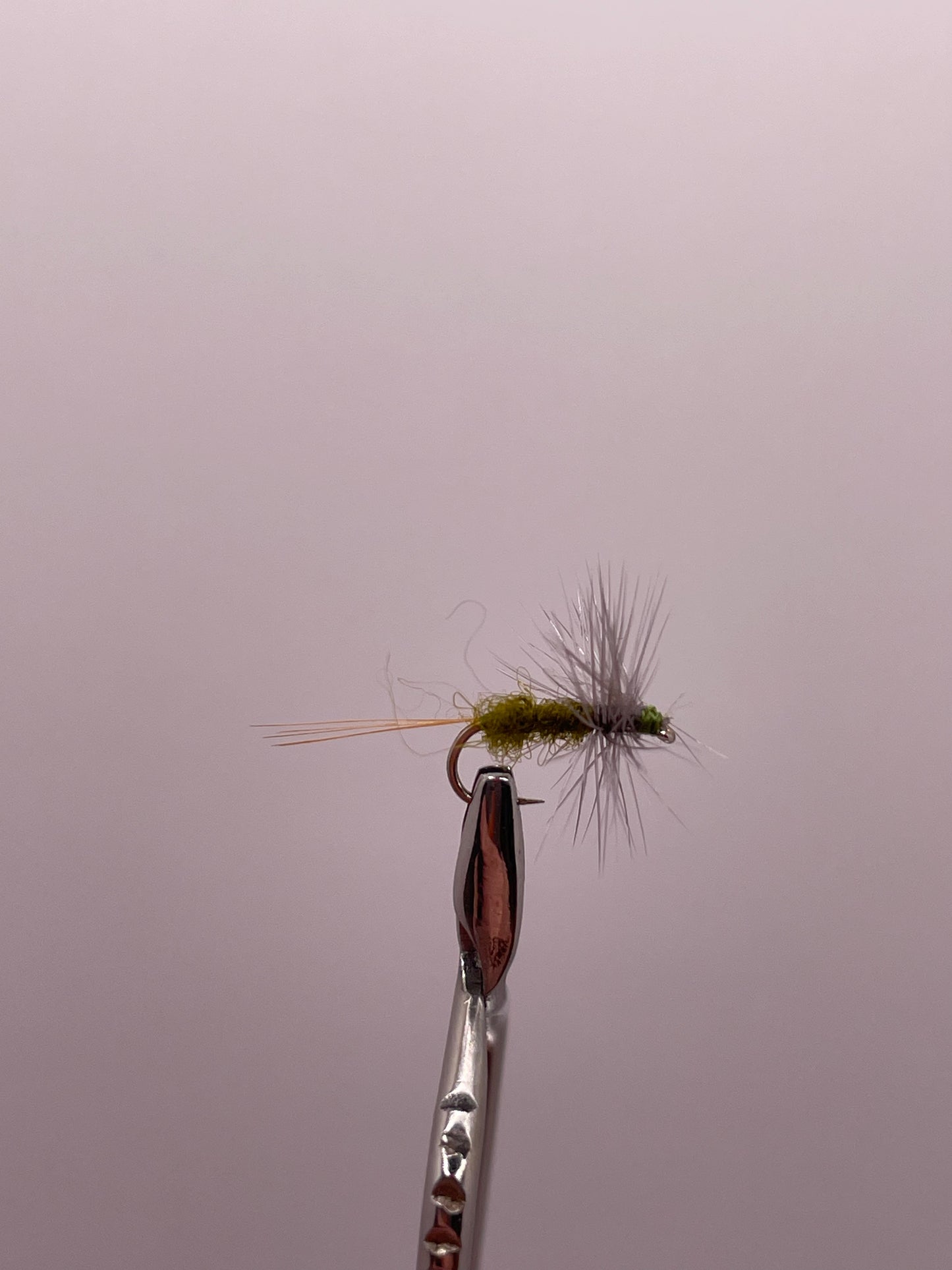Blue-Winged Olive