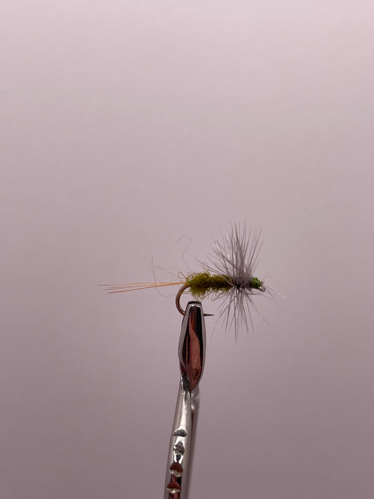 Blue-Winged Olive