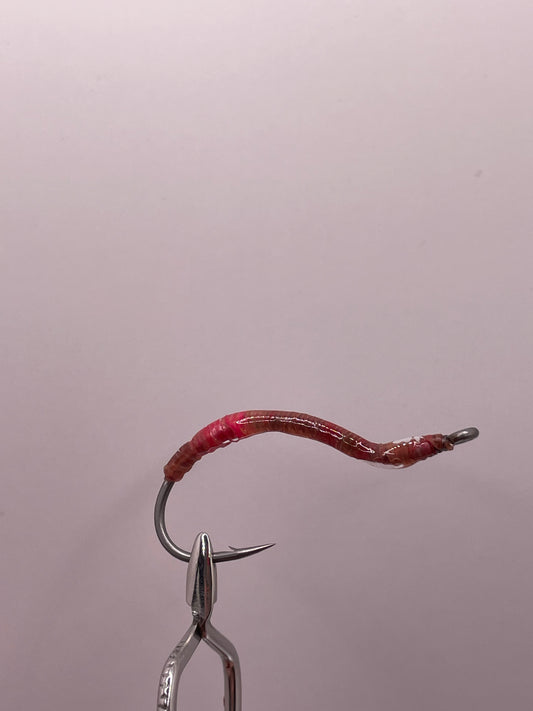 Realistic Earth Worm