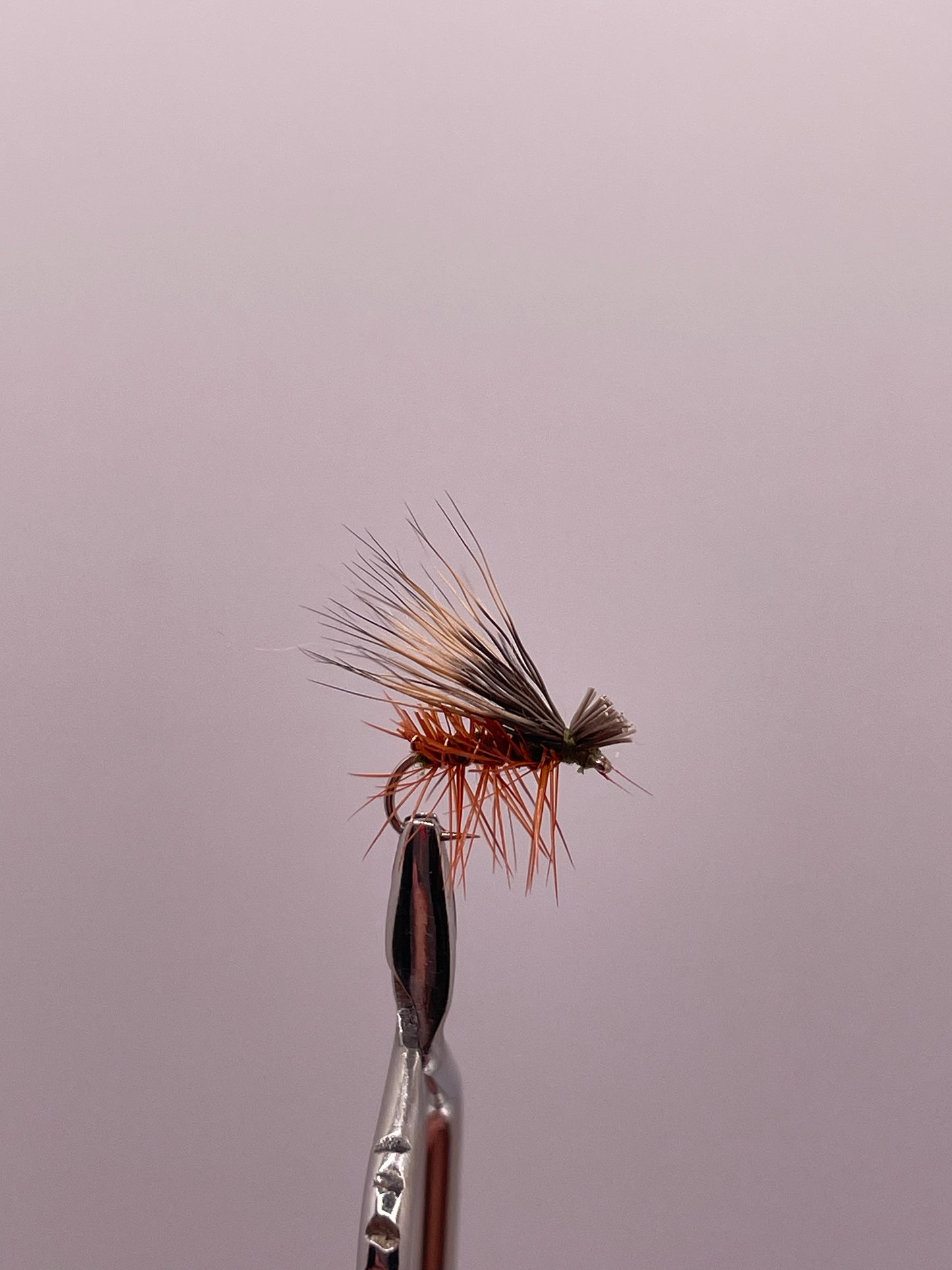 Elk Hair Caddis