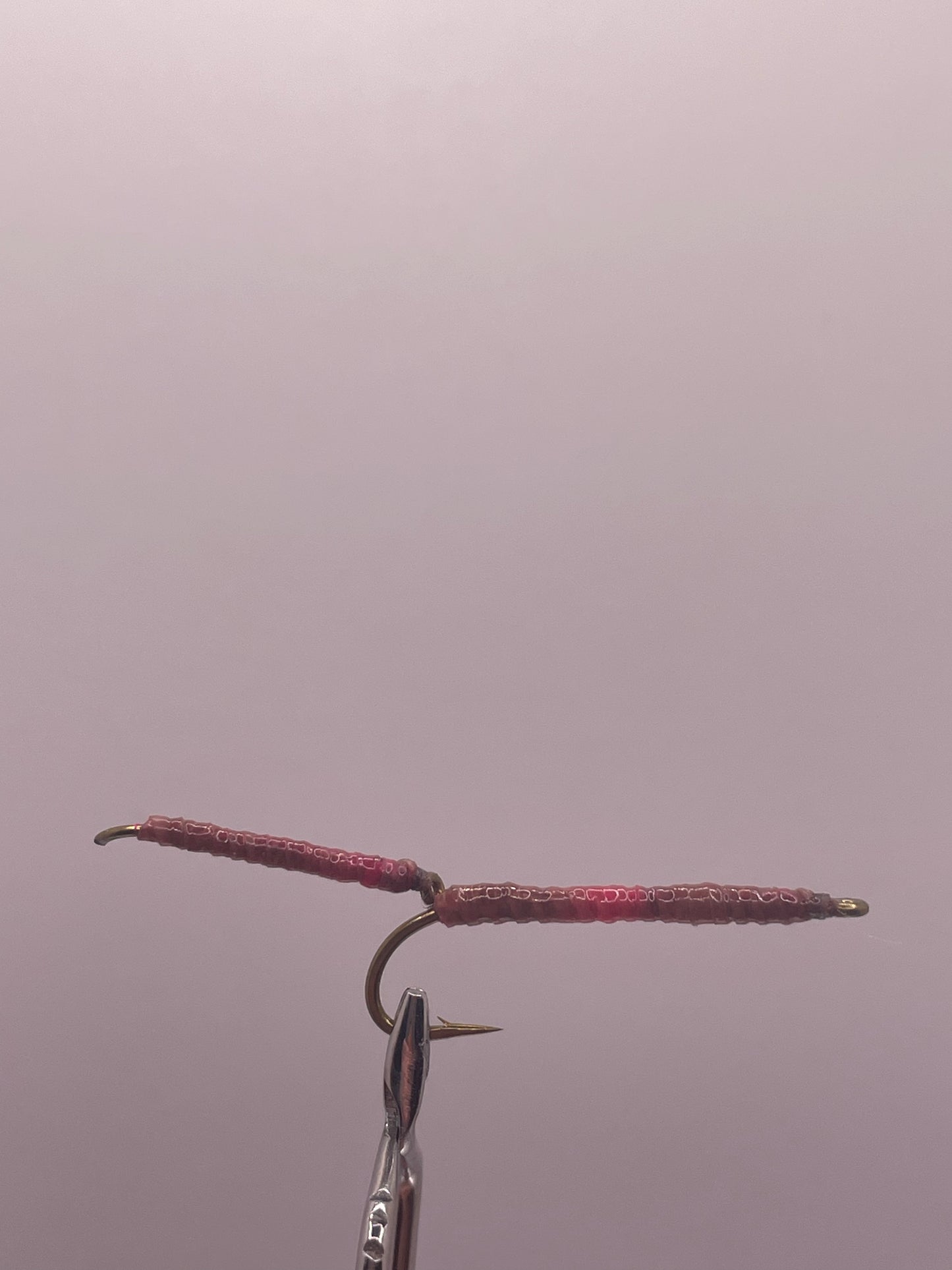 Articulated Realistic Earthworm