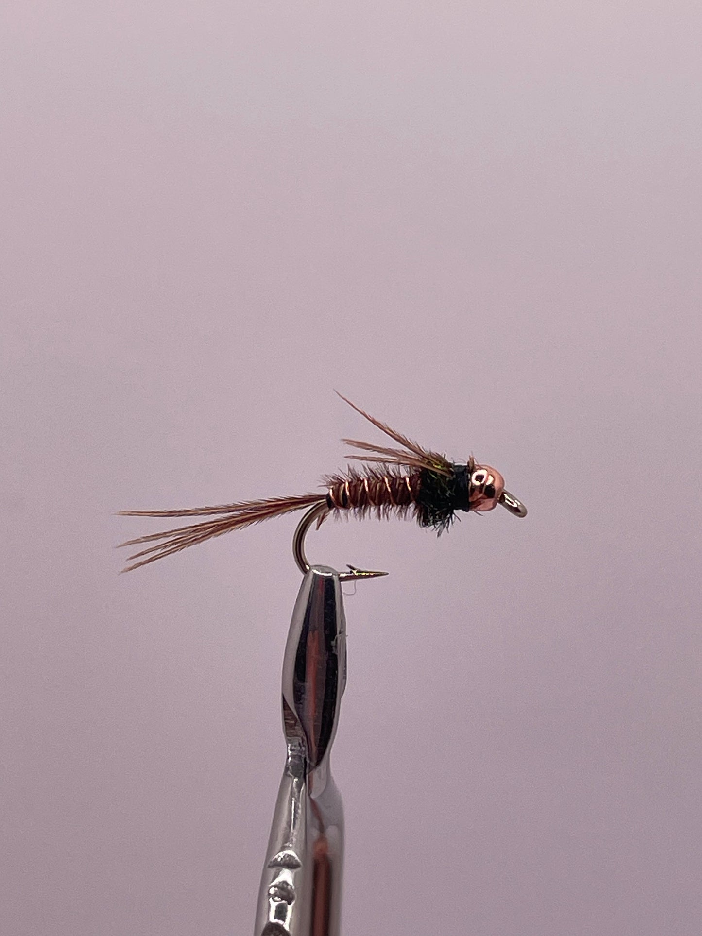 Pheasant tail Nymph