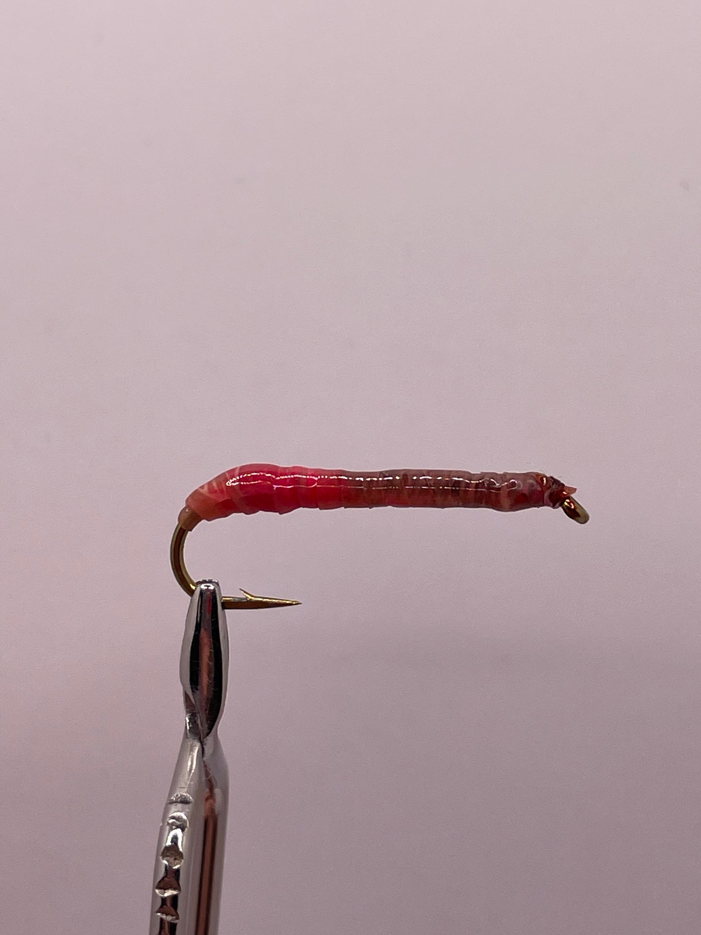 Realistic Earth Worm