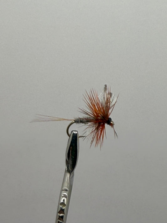 Adam’s Dry Fly