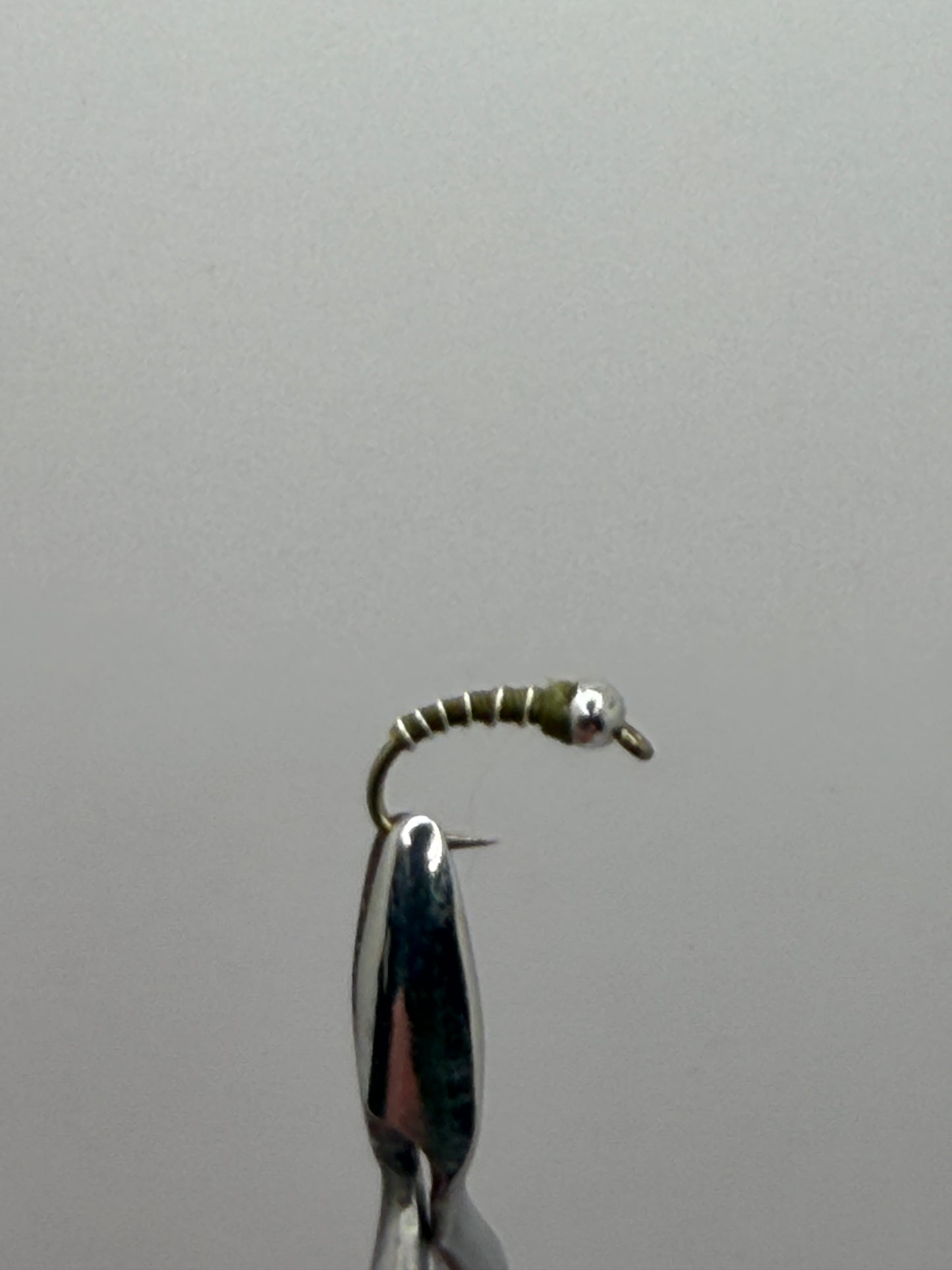 Zebra Midge