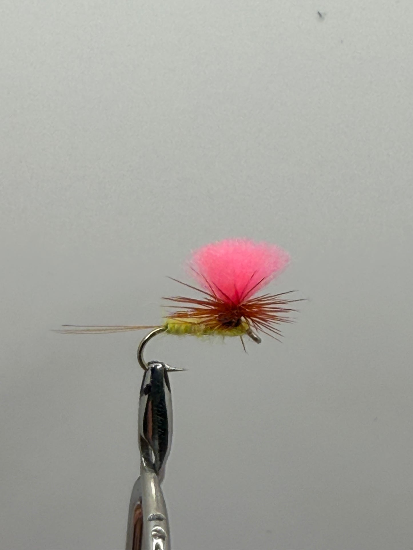 Parachute Adam’s