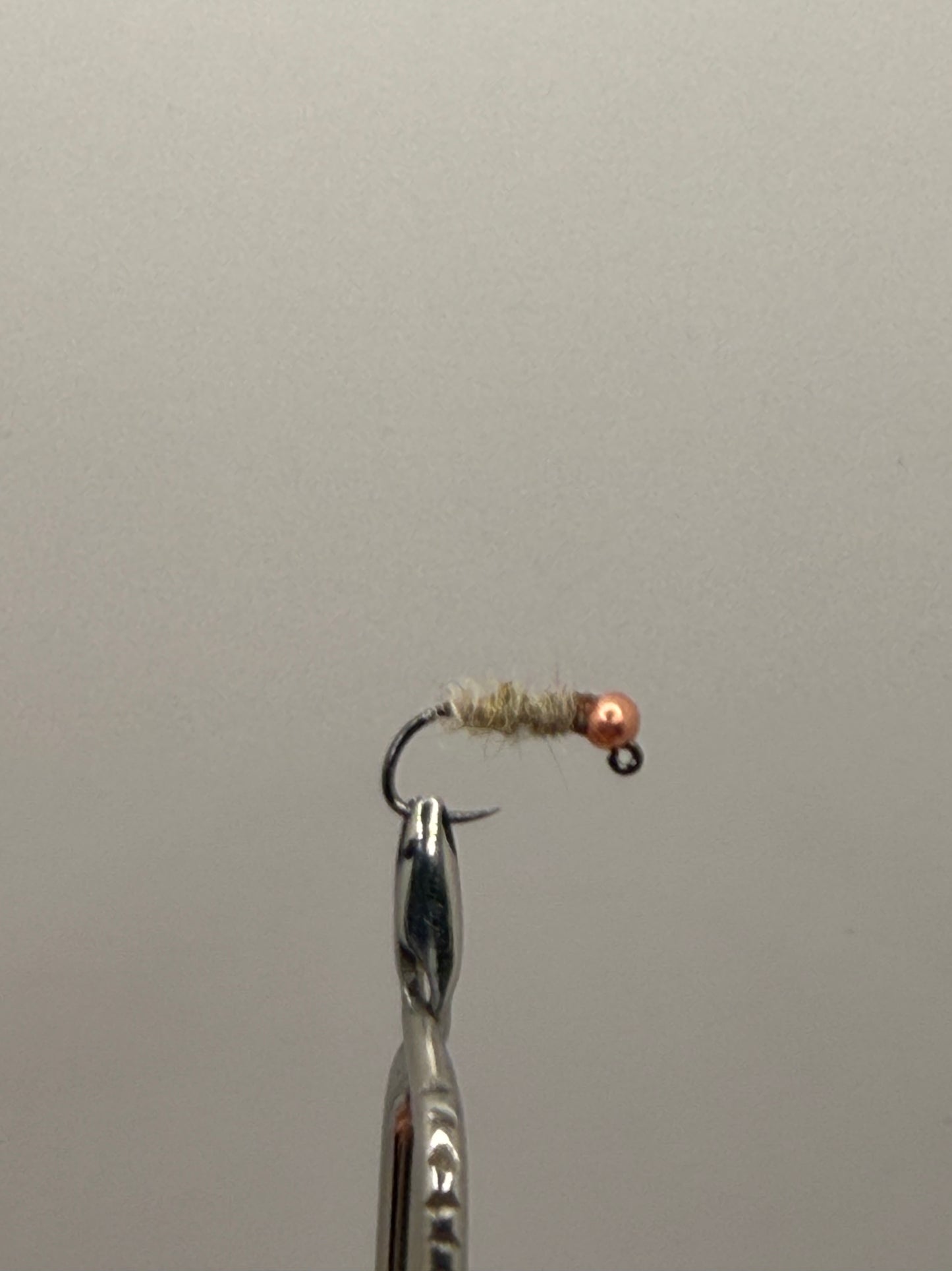 Walt’s Worm