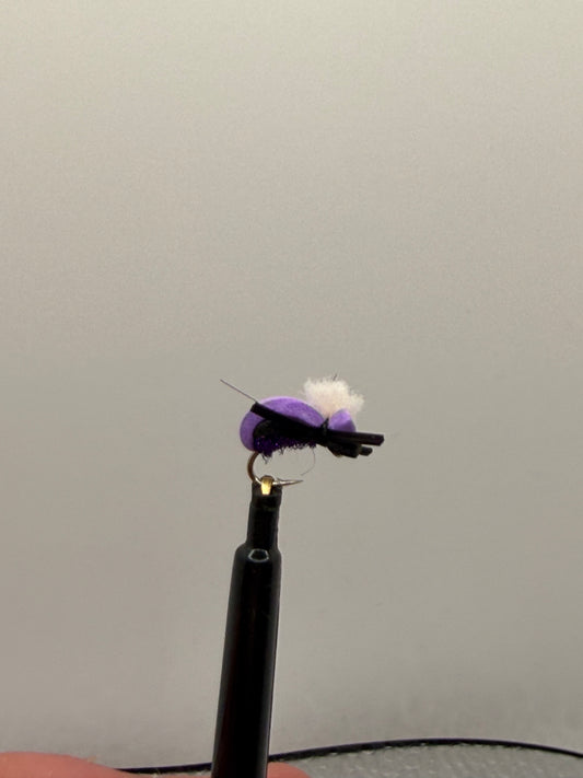 Puffy foam beetle
