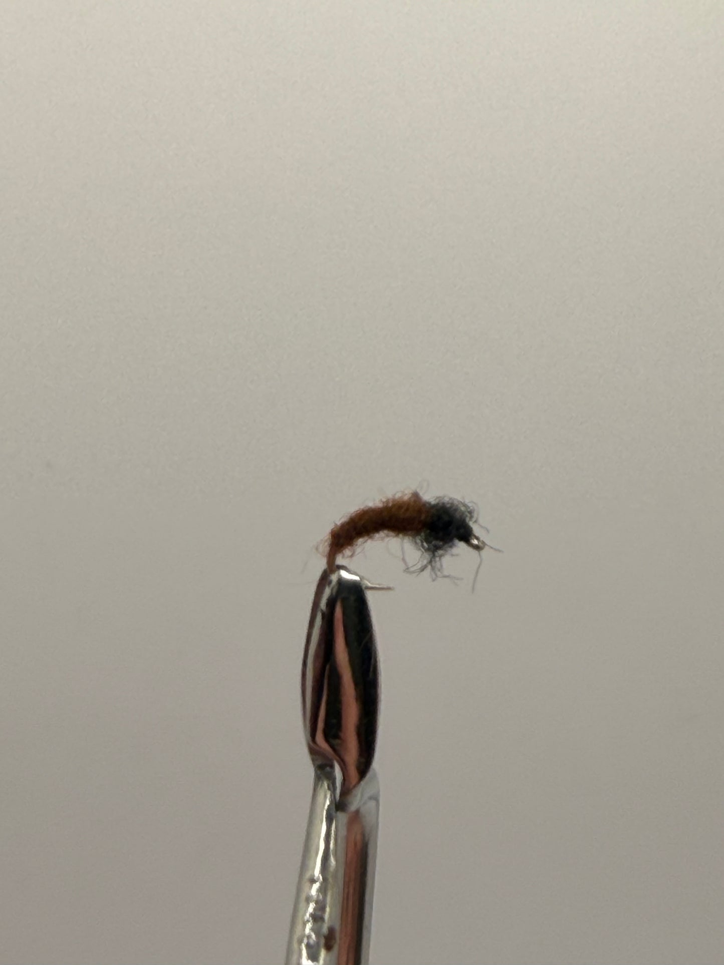 Micro Caddis Pupa