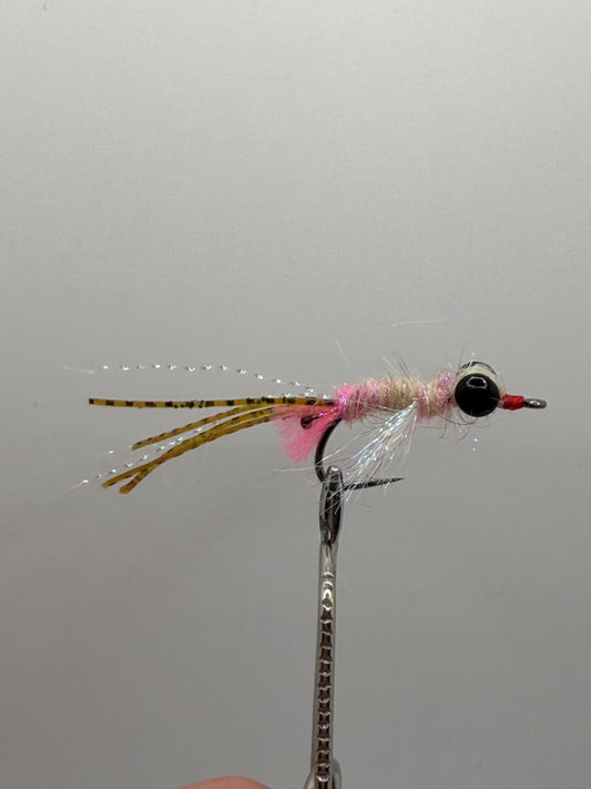 Shrimp Fly
