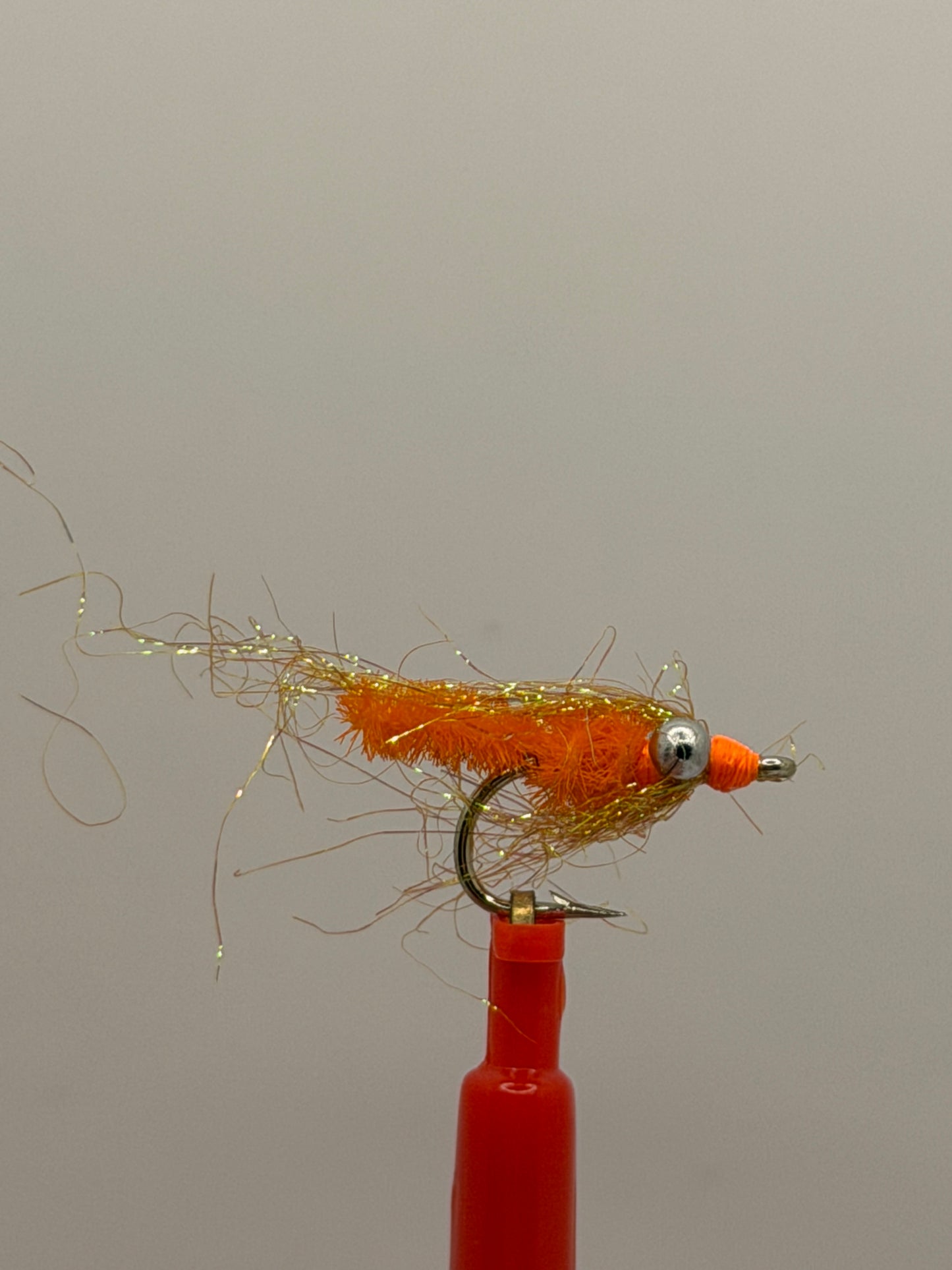 Carp Candy