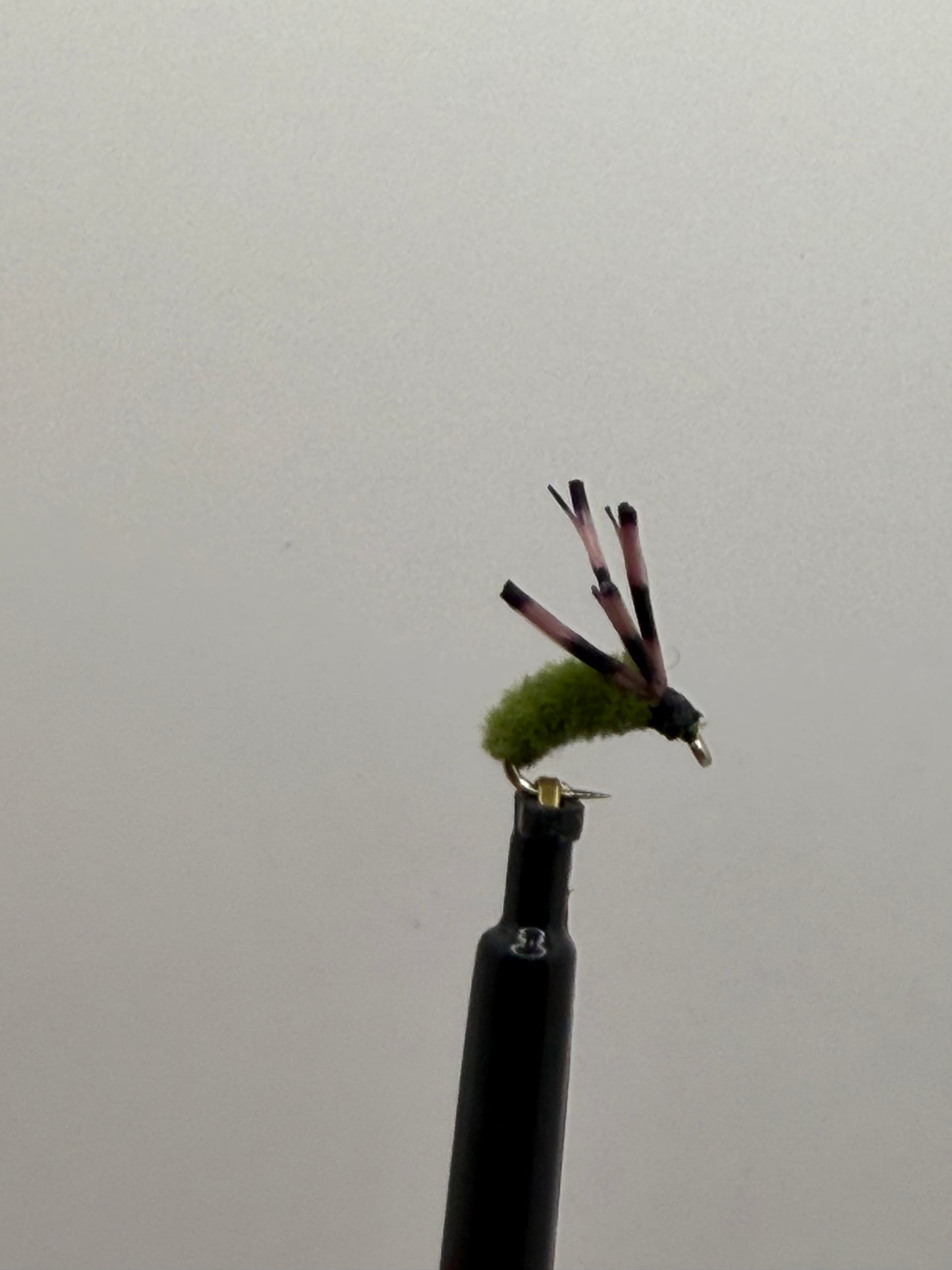 Bluegill Spider